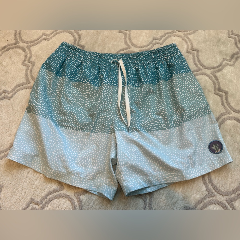 Men’s Chubbies Lined Classic Swim Trunks, 5.5” inseam, XL